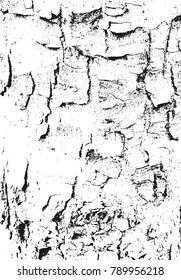 Bark texture. Grunge wooden background. Distressed vector overlay. Black and white abstract surface.