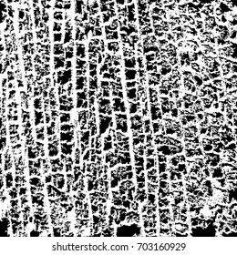 Bark Texture Vector Isolated on White Background.