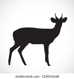 Barking deer,vetor, black , on the White Blackground.