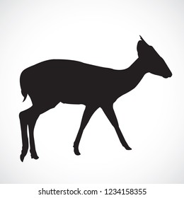 Barking deer,vetor, black , on the White Blackground.