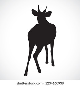 Barking deer,vetor, black , on the White Blackground.