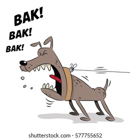 Barking dog