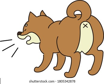 Barking shiba inu japanese dog