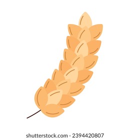 barley branch illustration vector isolated