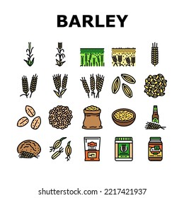 barley cereal grain harvest icons set vector. agriculture food, wheat crop, seed bread, organic plant, rye farm, healthy, nature barley cereal grain harvest color line illustrations