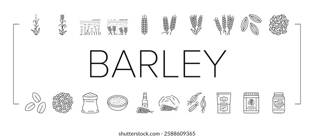 barley cereal grain harvest icons set vector. agriculture food, wheat crop, seed bread, organic plant, rye farm, healthy, nature barley cereal grain harvest black contour illustrations