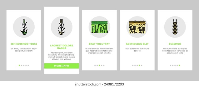 barley cereal grain harvest onboarding mobile vector. agriculture food, wheat crop, seed bread, organic plant, rye farm, healthy, nature barley cereal grain harvest illustrations