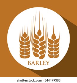  Barley concept with grains design, vector illustration 10 eps graphic.