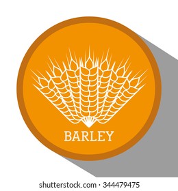  Barley concept with grains design, vector illustration 10 eps graphic.