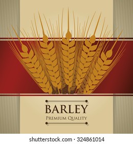 Barley  concept and wheat design, vector illustration 10 eps graphic.