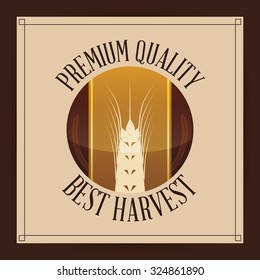 Barley  concept and wheat design, vector illustration 10 eps graphic.