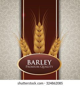 Barley  concept and wheat design, vector illustration 10 eps graphic.