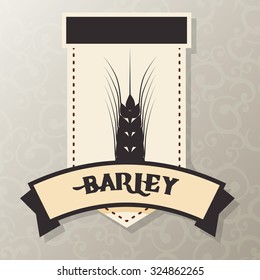 Barley  concept and wheat design, vector illustration 10 eps graphic.