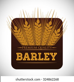 Barley  concept and wheat design, vector illustration 10 eps graphic.