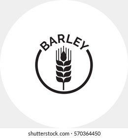 Barley ear