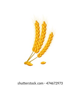 Barley ear icon in cartoon style isolated on white background