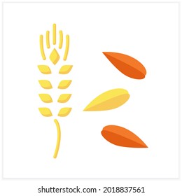 Barley flat icon. Wheat ear and seeds. Organic healthy energetic food for balanced nutrition. Detox and weight loss supplements. Vegetarian food. Color vector illustration