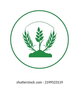 Barley grain food wheat icon | Circle version icon |