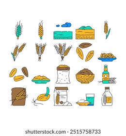 grãos de cevada ícones de trigo definir vetor. cereal de centeio, planta de orelha, semente de colheita, fazenda de alimentos, pão agrícola, colheita, aveia cevada grão trigo cor do contorno Ilustrações