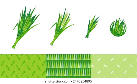 Barley green leaves illustration and icon and pattern set.