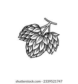 Barley hops and malt. Beer of oktoberfest. engraved in ink hand drawn in old sketch and vintage style for web or pub menu. design element isolated on white background.