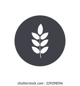 barley icon