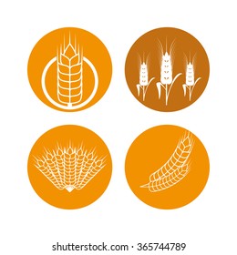 Barley icon design 
