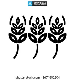 barley icon or logo isolated sign symbol vector illustration - high quality black style vector icons
