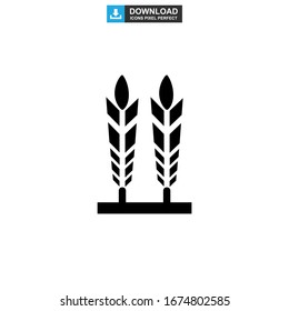 barley icon or logo isolated sign symbol vector illustration - high quality black style vector icons
