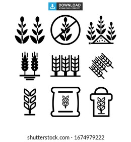 barley icon or logo isolated sign symbol vector illustration - Collection of high quality black style vector icons
