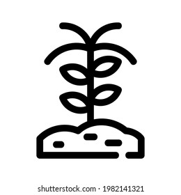 barley icon or logo isolated sign symbol vector illustration - high quality black style vector icons
