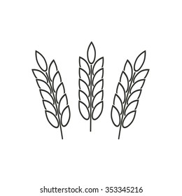 Barley  icon  on white background. Vector illustration.