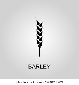 Barley icon. Barley symbol. Flat design. Stock - Vector illustration.