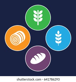 Barley icons set. set of 4 barley filled icons such as wheat, hay