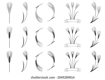 Barley illustration set (white background, vector, cut out)