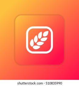 Barley orange bright app ui/ux Icon / Logo design
