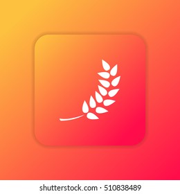 Barley orange bright app ui/ux Icon / Logo design