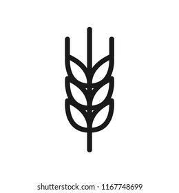 Barley rice icon. Simple design. Isolate on white background.