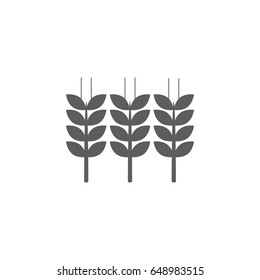 Barley rice icon in trendy flat style isolated on white background. Symbol for your web site design, logo, app, UI. Vector illustration, EPS