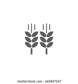 Barley rice icon in trendy flat style isolated on white background. Symbol for your web site design, logo, app, UI. Vector illustration, EPS