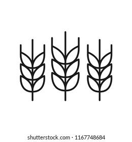 Barley rice. Simple design. Isolate on white background.