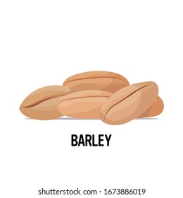barley seeds organic healthy vegetarian food on white background vector illustration