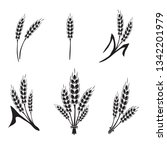 Barley, Spelt or Wheat silhouette set. For bakery, brewery logo and decor