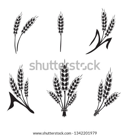 Barley, Spelt or Wheat silhouette set. For bakery, brewery logo and decor