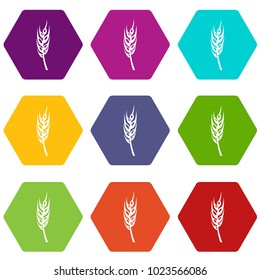 Barley spike icon set many color hexahedron isolated on white vector illustration