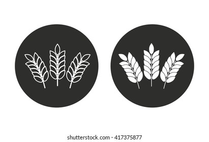 Barley    vector icon. Illustration isolated for graphic and web design.
