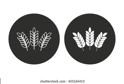 Barley vector icon. Illustration isolated for graphic and web design.