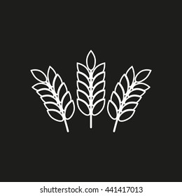 Barley vector icon. White illustration isolated on black background for graphic and web design.