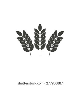 Barley - vector icons in black on a white background.