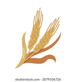 Barley or Wheat Cultivated Cereal Grain Harvest Vector Illustration